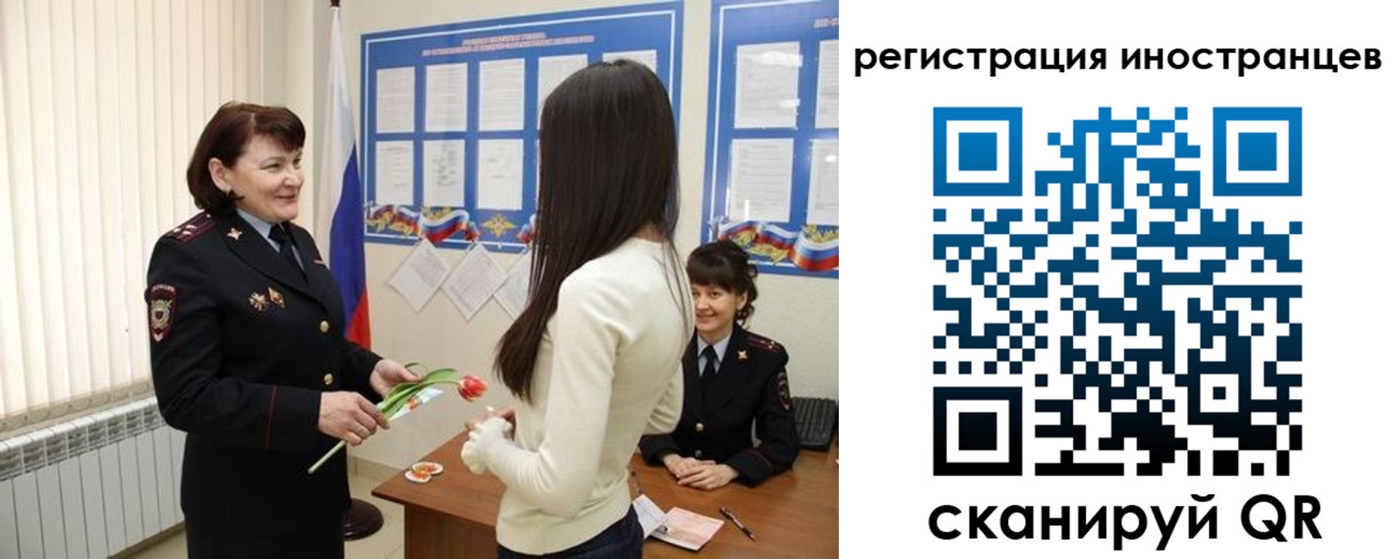 прописка в квартире в Елизово